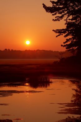 Sunrise Over a Salt Marsh