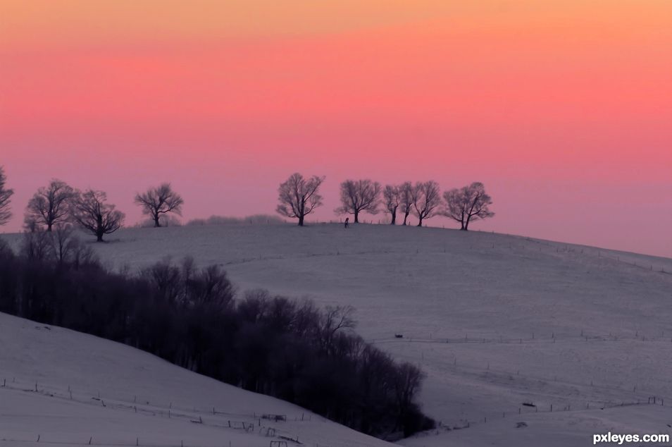 Late Winter Dawn