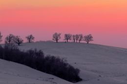 Late Winter Dawn Picture
