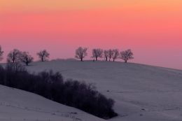 Late Winter Dawn