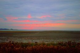 Beach Sunset