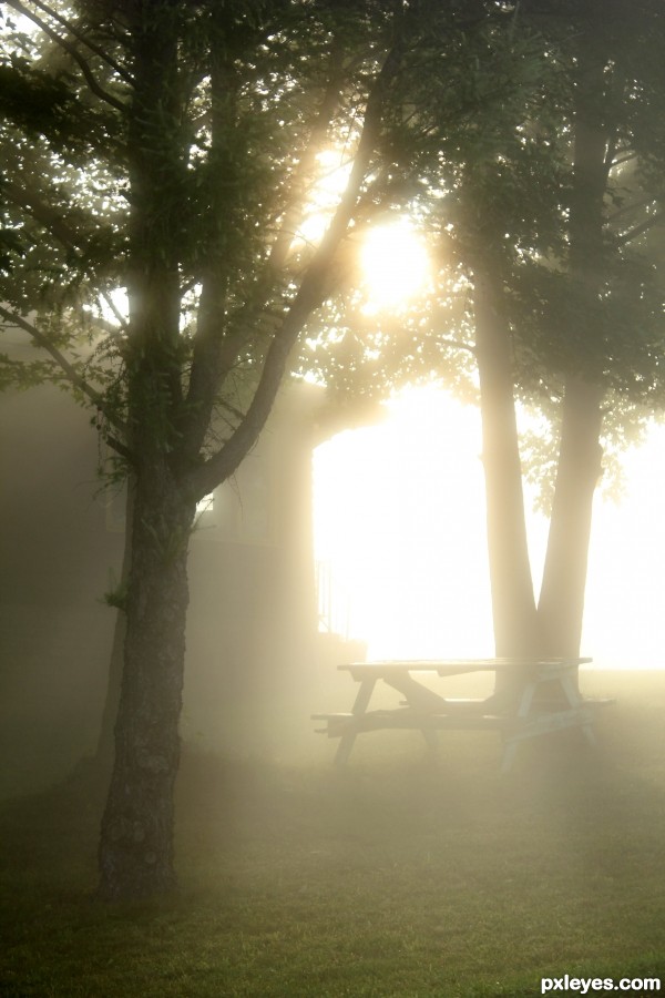 Bench in evening