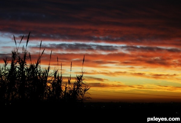 Colorful sunset