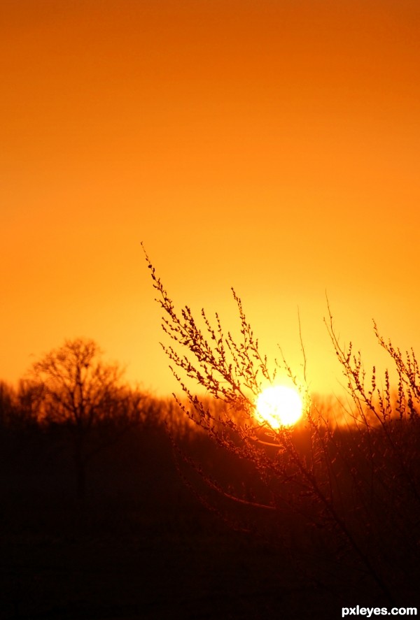 Countryside sunset