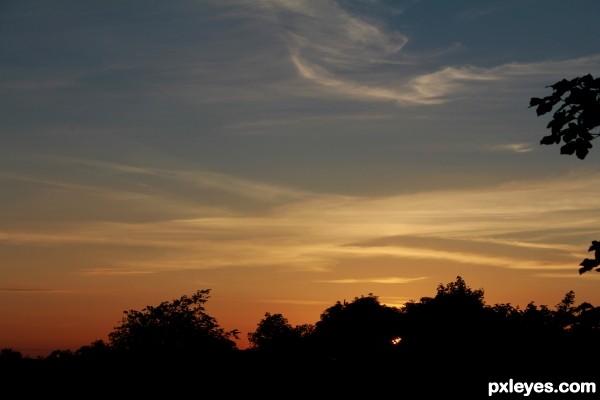 Sunset Silhouette