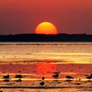 sunsets photography contest