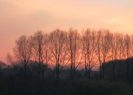 Belgian Sunset