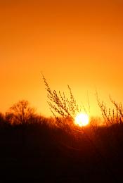 Countryside sunset