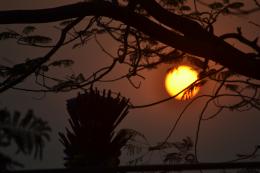 Sunset at marinedrive