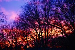 colorsatsunset