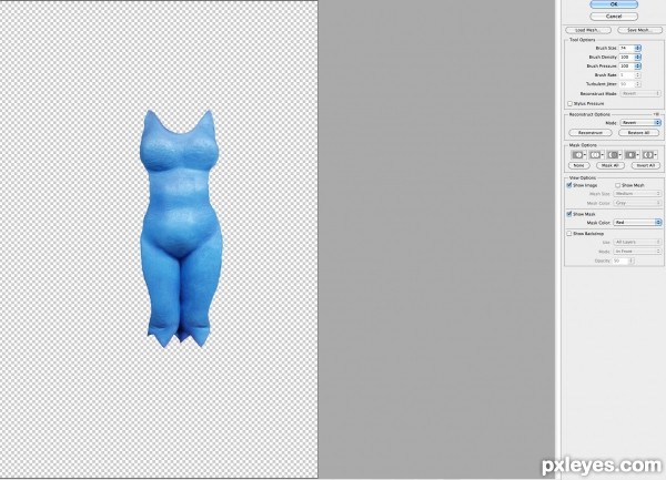 Creation of The Real Super Woman: Step 3