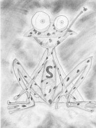 Superfrog Picture