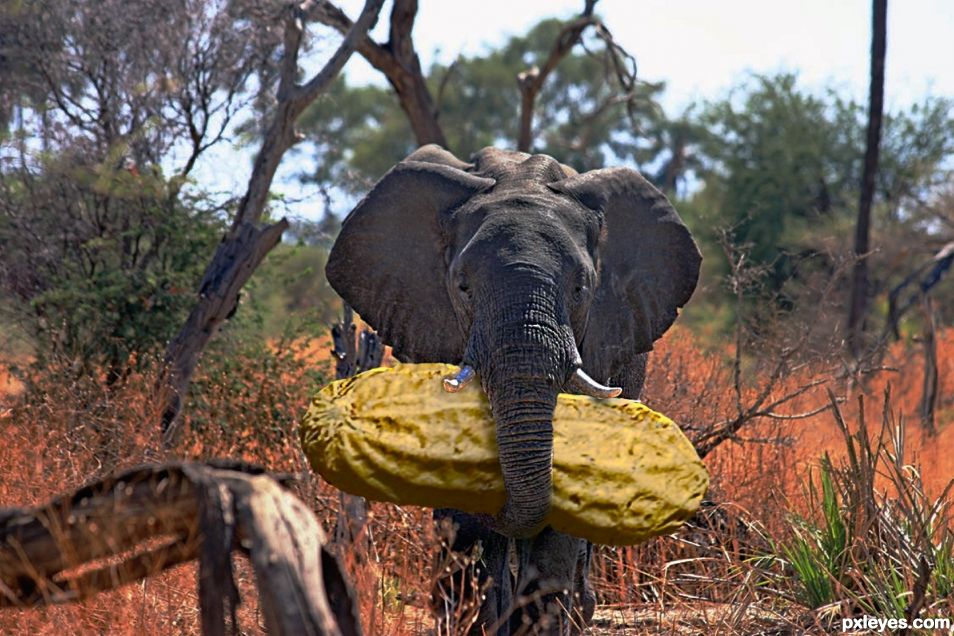 Jumbos Jumbo Peanut