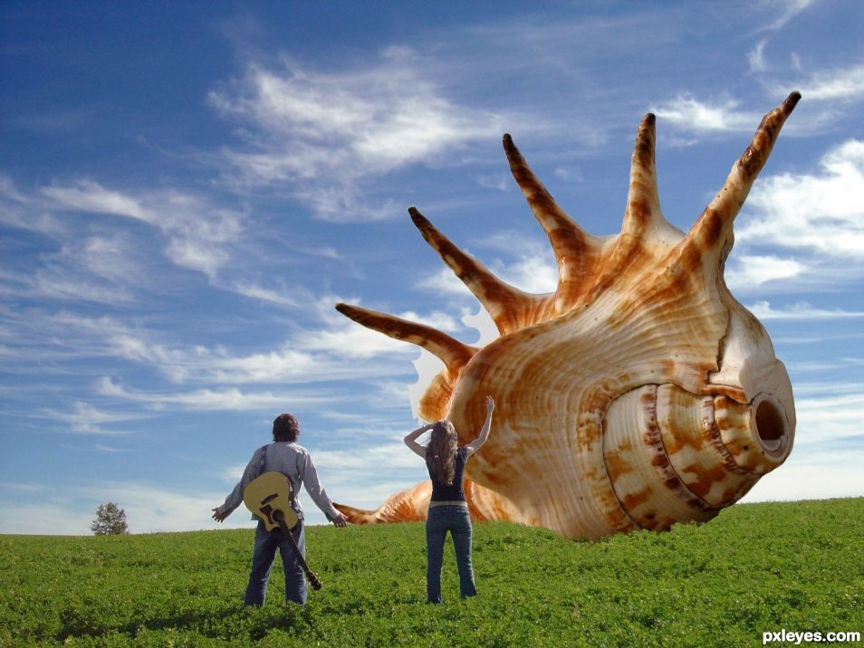 Creation of Shell: Step 2