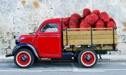 Raspberry Delivery