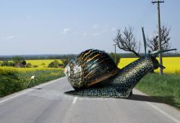 Snail