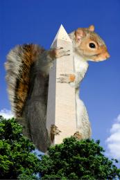 Squirrelzilla