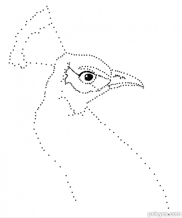 Creation of peacock dots: Step 2
