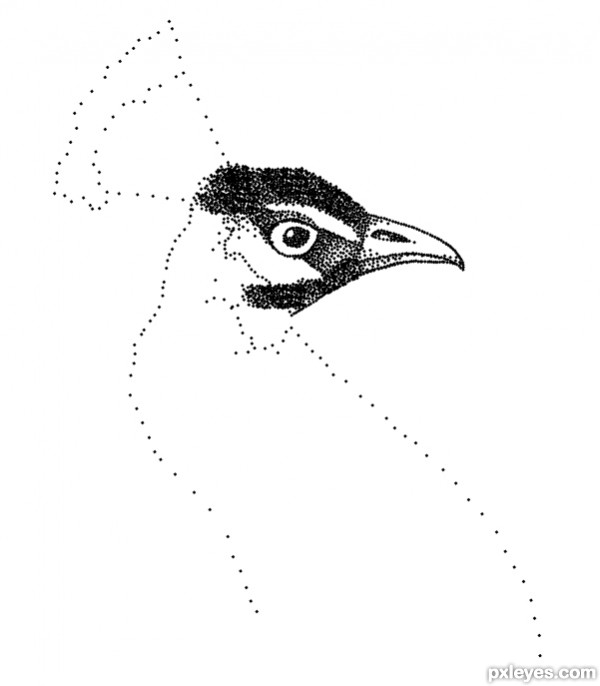 Creation of peacock dots: Step 4