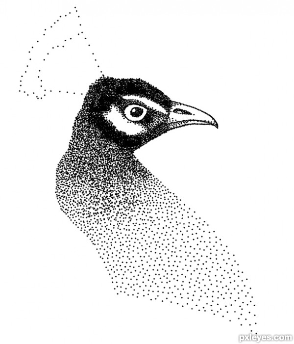 Creation of peacock dots: Step 6