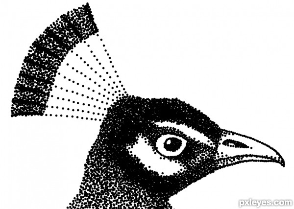 Creation of peacock dots: Step 7