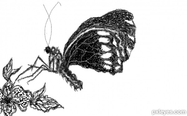 Creation of Butterfly: Step 2