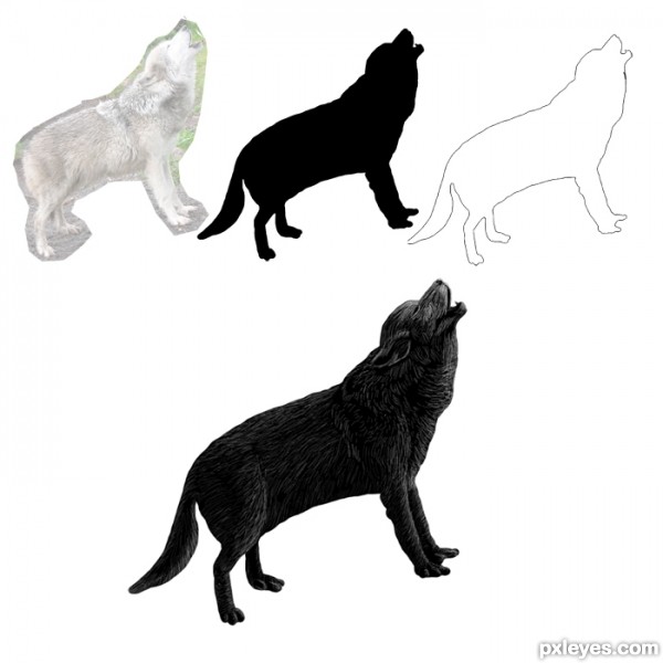 Creation of Wolfsong: Step 2