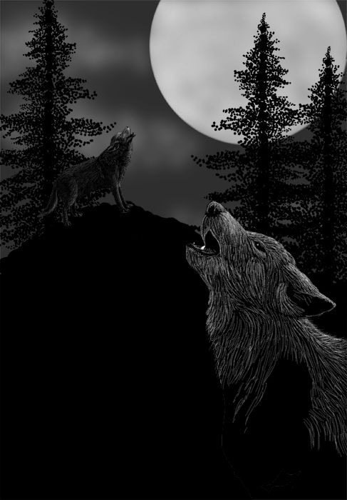 Creation of Wolfsong: Step 3