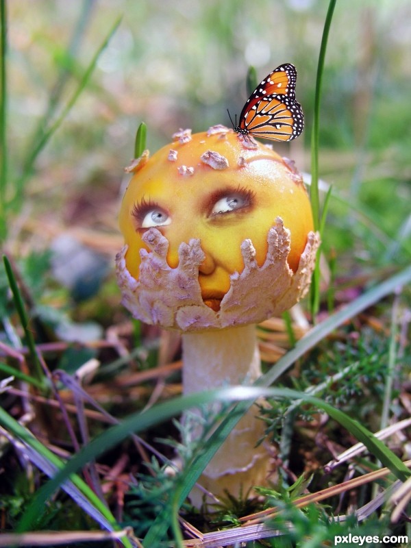 Shroom Head