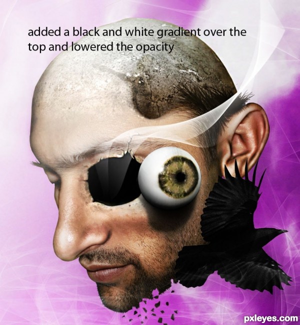 Creation of Limitless: Step 9