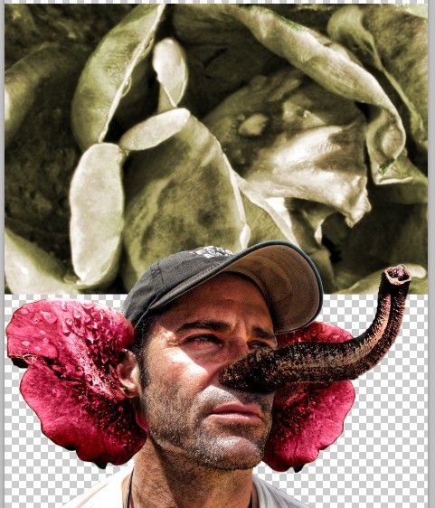 Creation of Snorky Snorkel Snork Snork: Step 6