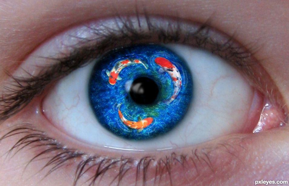 Eye