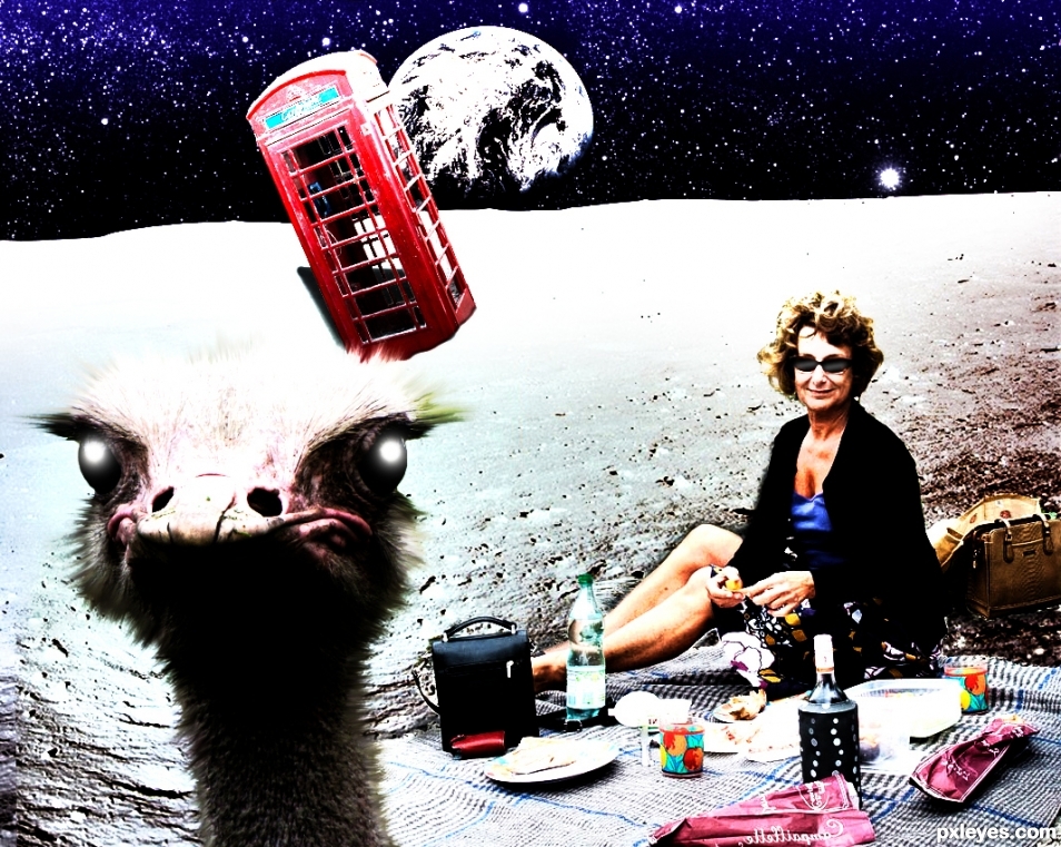 Picnic on the Moon
