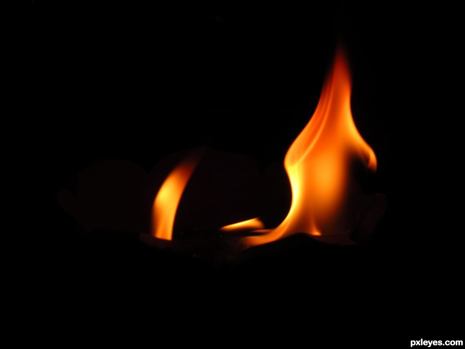 Creation of FIVE ELEMENTS: Step 4