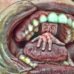 TheCavity