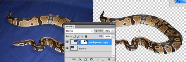 Creation of Insight: Step 8