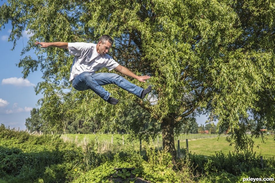 trampoline fun