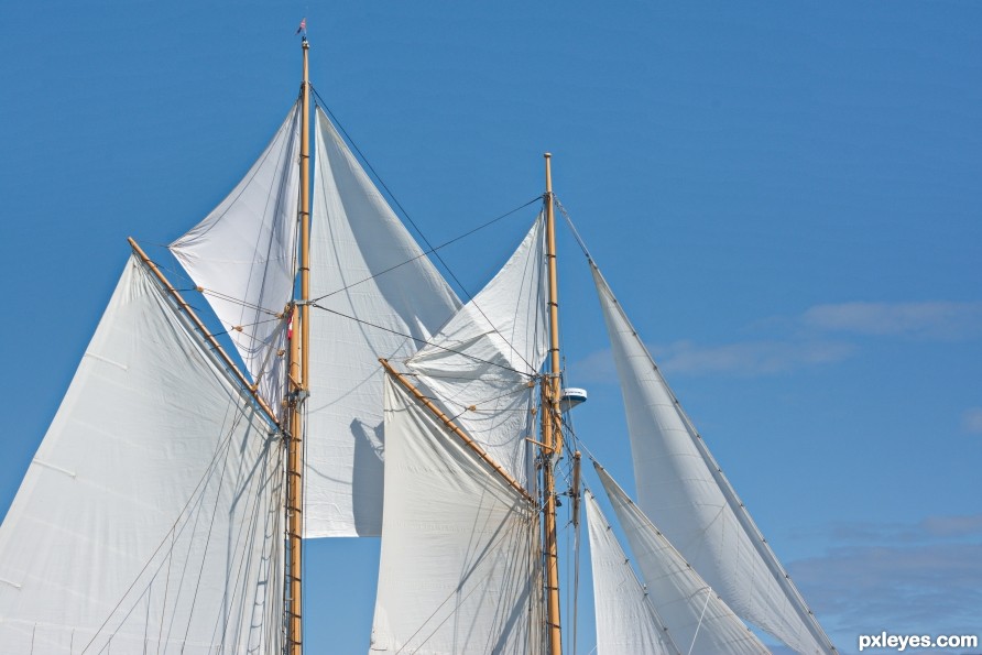 Sails in the Wind