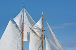 Sails in the Wind