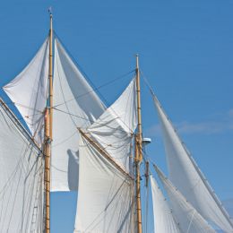 SailsintheWind