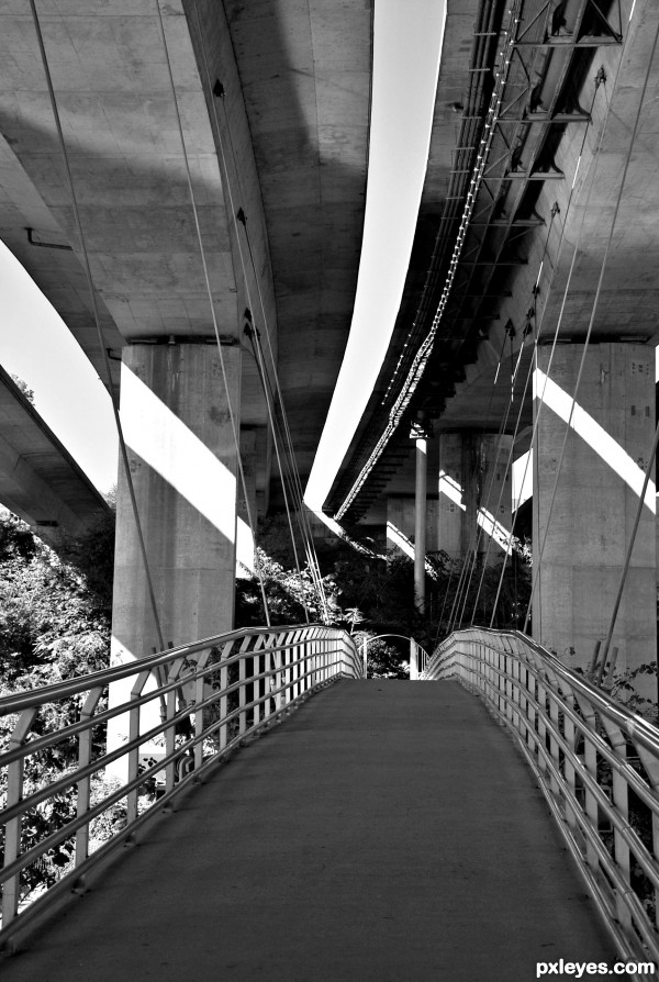 Suspended Bridge