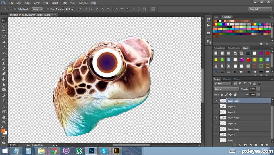 Creation of Nemo: Step 3
