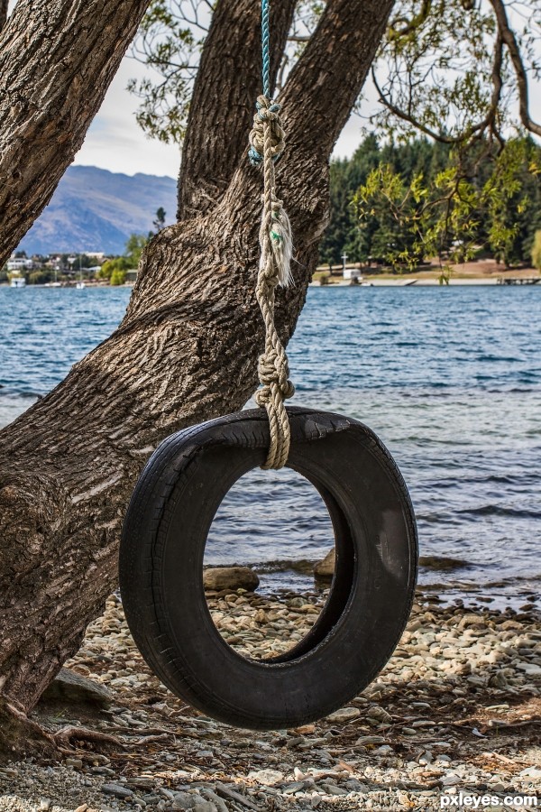 swing with a view