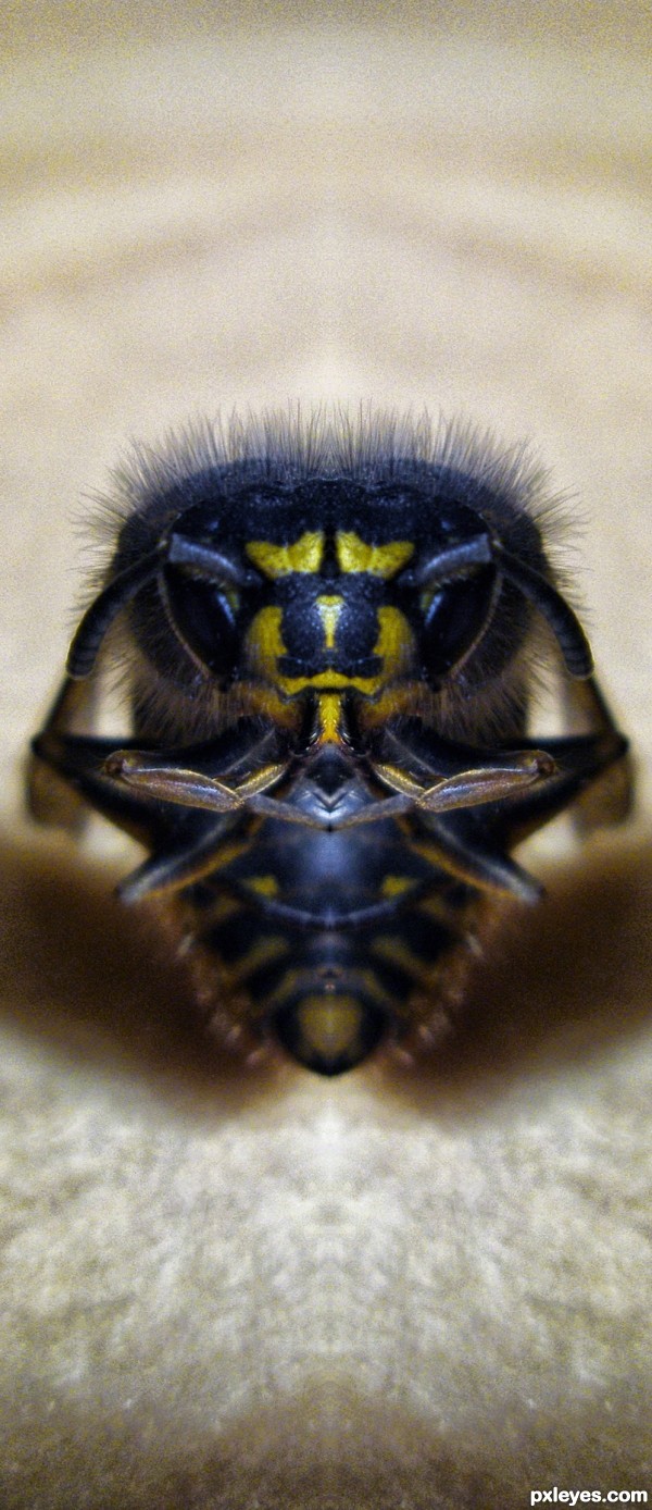Creation of Bruiser Bee: Final Result