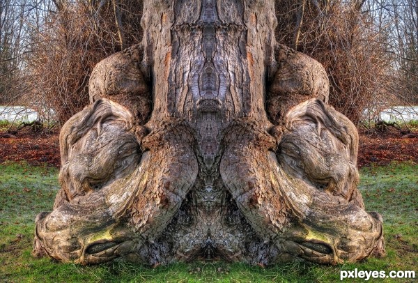 Creation of Symmetry in Nature: Final Result