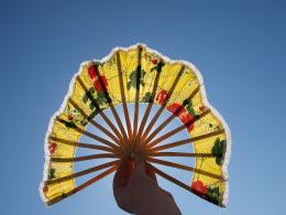 Fan of the Sun