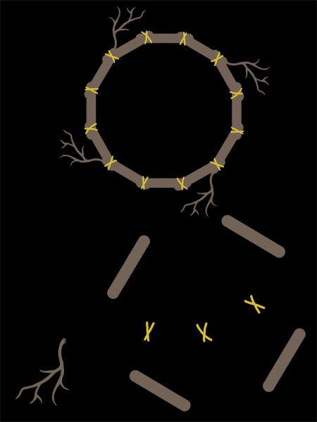 Creation of Bone Tarot: Step 3