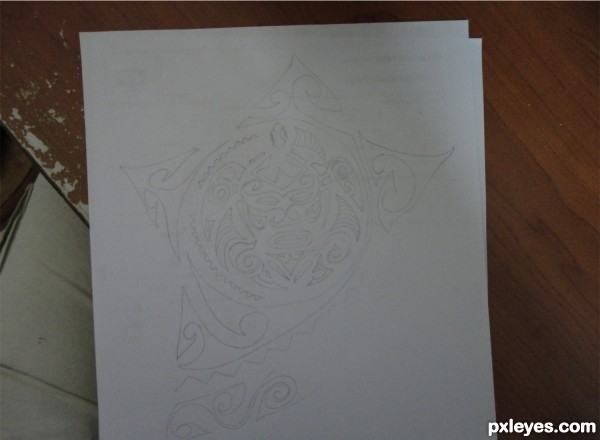 Creation of Turtle: Step 2