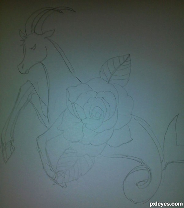Creation of Capricorn: Step 1