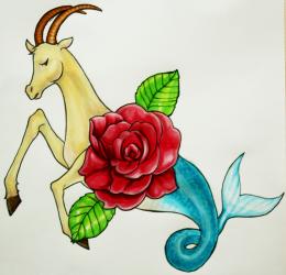 Capricorn